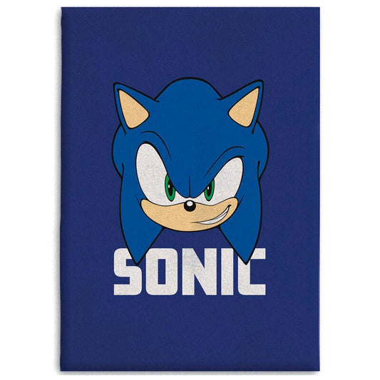 Manta polar Sonic The Hedgehog_1