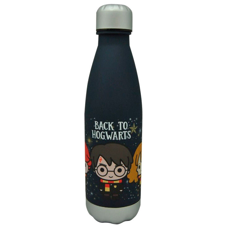 Botella Back to Hogwarts Harry Potter 650ml_1