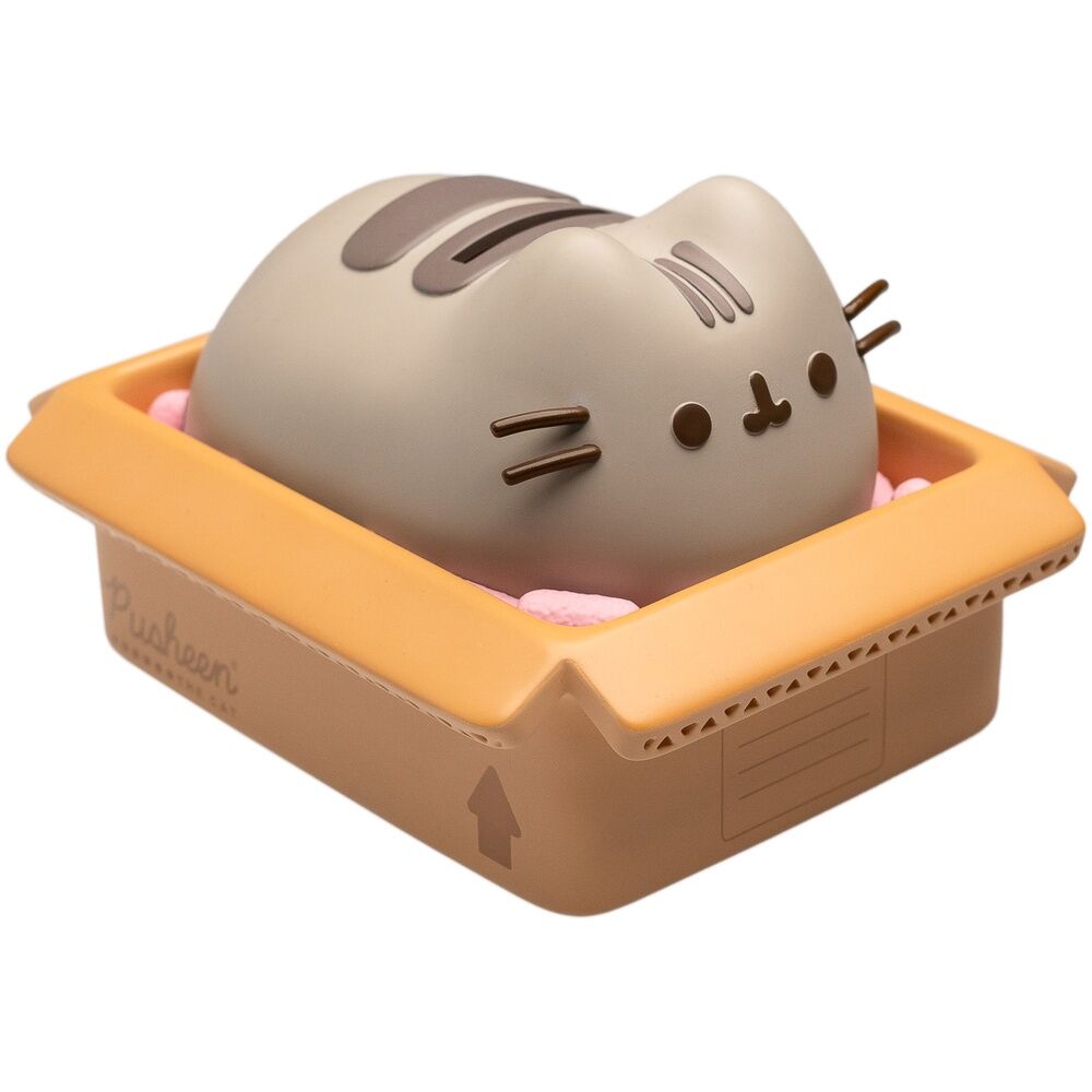 Hucha Pusheen_1