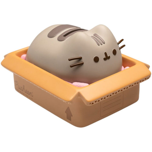 Hucha Pusheen_1